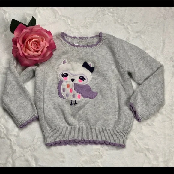 Gymboree Gray Owl Sweater size 2T - Picture 2 of 9
